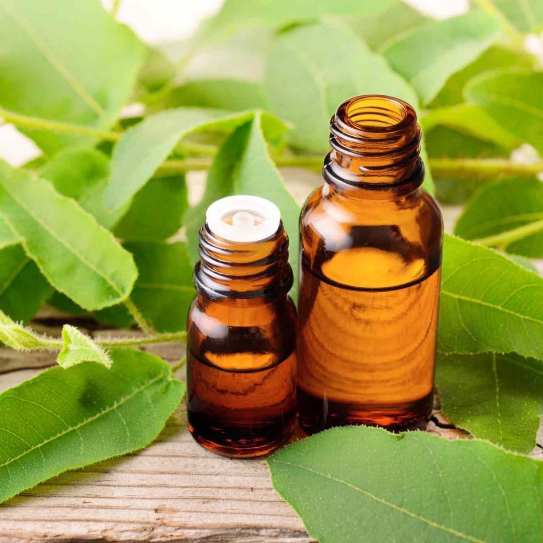 Eucalyptus Oil